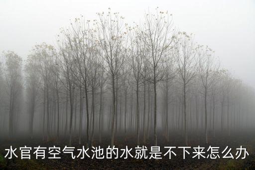 水官有空氣水池的水就是不下來怎么辦