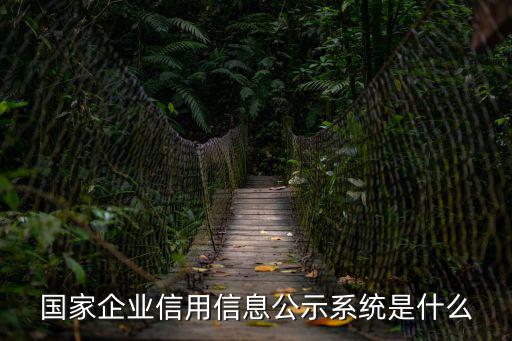 國家企業信用信息公示系統是什么