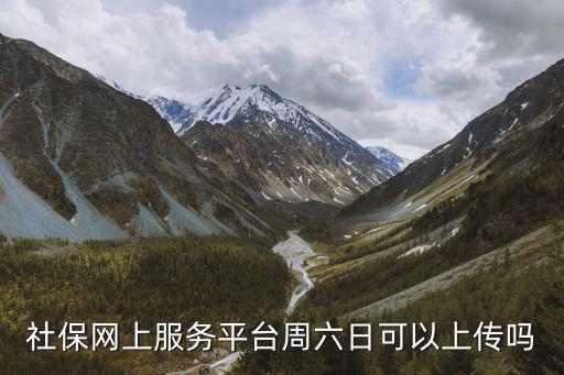 社保網上服務平臺周六日可以上傳嗎