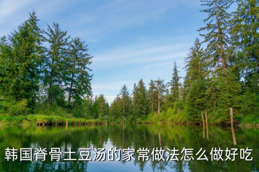 韓國脊骨土豆湯的家常做法怎么做好吃