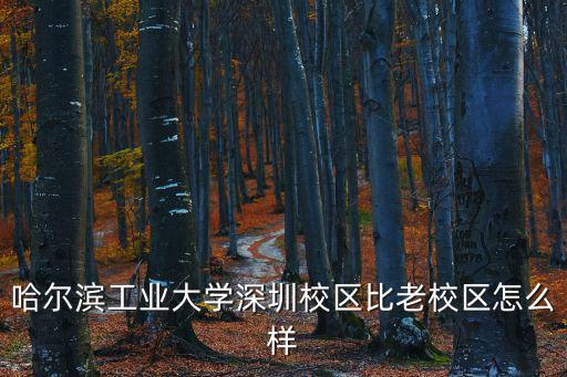 哈爾濱工業(yè)大學(xué)深圳校區(qū)比老校區(qū)怎么樣