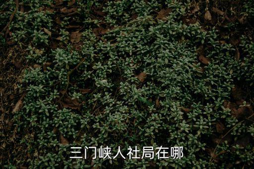 三門峽市人力資源和社會保障局，三門峽人社局在哪