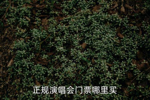 正規演唱會門票哪里買