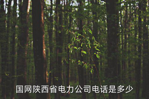 陜西電力公司，陜西電力工程有限公司電話是多少