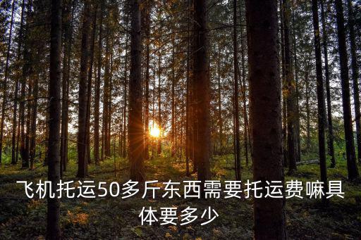 飛機(jī)托運(yùn)50多斤東西需要托運(yùn)費(fèi)嘛具體要多少