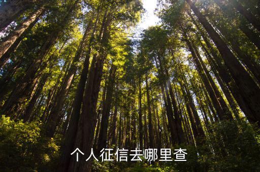 個人征信去哪里查