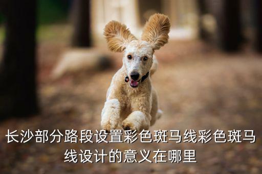 彩色斑馬，彩色斑馬魚是染色嗎