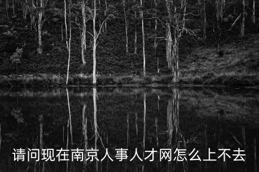 南京人事人才網，南京有沒的招聘人才網