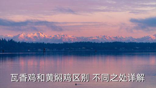 瓦香雞，外面一份瓦香雞大概多少克