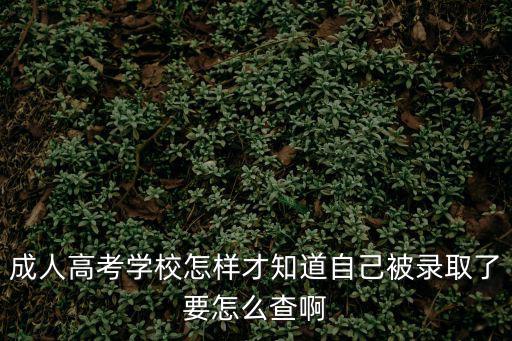 成人高考學校怎樣才知道自己被錄取了要怎么查啊