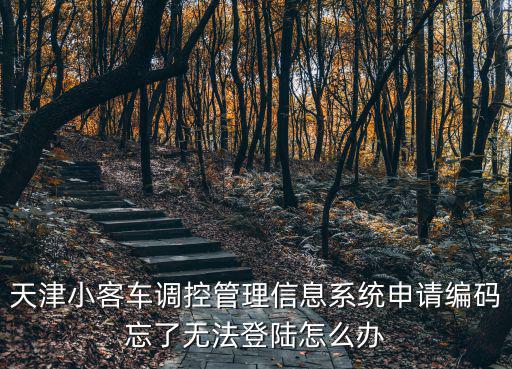 天津小客車調(diào)控管理信息系統(tǒng)申請編碼忘了無法登陸怎么辦