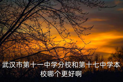 武漢市第十七中學，武漢市第十一中學分校和第十七中學本校哪個更好啊