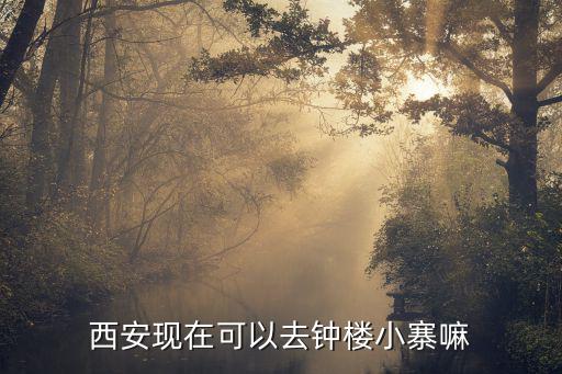 西安小寨，五一想去西安玩聽說小寨很火有什么好玩的嗎