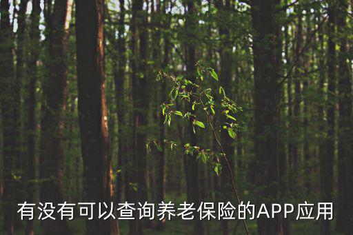 養(yǎng)老保險(xiǎn)app，有沒有可以查詢養(yǎng)老保險(xiǎn)的APP應(yīng)用