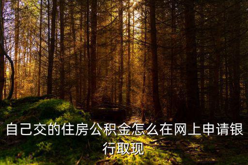 自己交的住房公積金怎么在網上申請銀行取現