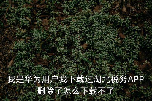 我是華為用戶我下載過湖北稅務APP刪除了怎么下載不了
