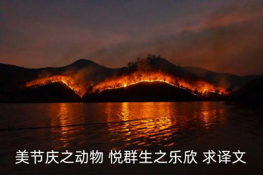 美節慶之動物 悅群生之樂欣 求譯文