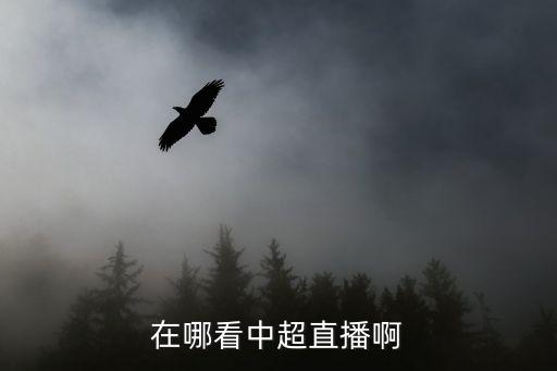 在哪看中超直播啊
