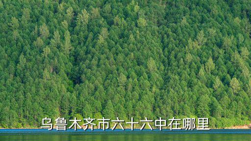 烏魯木齊市六十六中在哪里