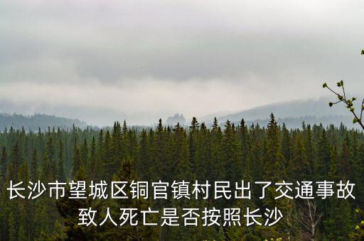 長(zhǎng)沙市望城區(qū)銅官鎮(zhèn)村民出了交通事故致人死亡是否按照長(zhǎng)沙