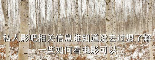 私人影吧相關信息誰知道沒去過想了解一些如何看電影可以