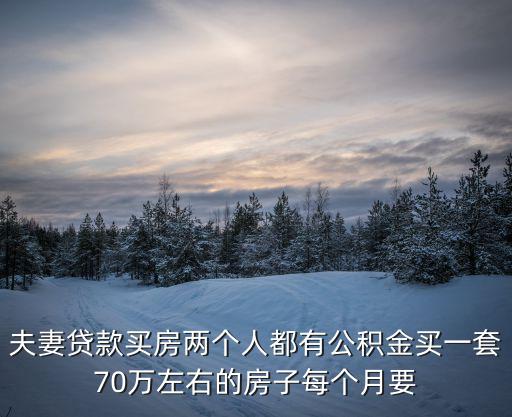 夫妻貸款買房兩個人都有公積金買一套70萬左右的房子每個月要