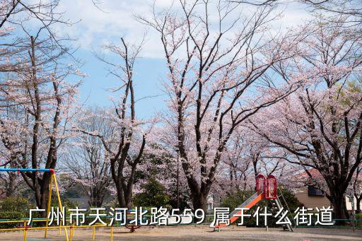 廣州市天河北路559 屬于什么街道