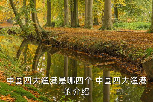 中心漁港，中國有哪四大漁場哪六大中心漁港