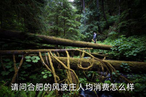 請問合肥的風波莊人均消費怎么樣