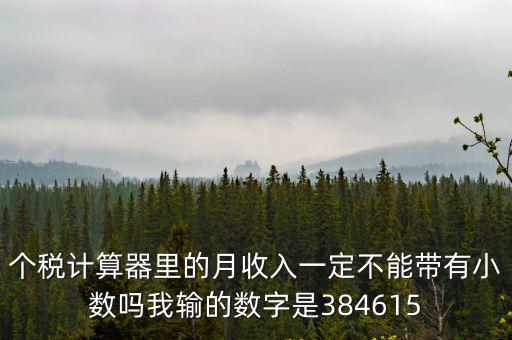 個稅計算器里的月收入一定不能帶有小數嗎我輸的數字是384615