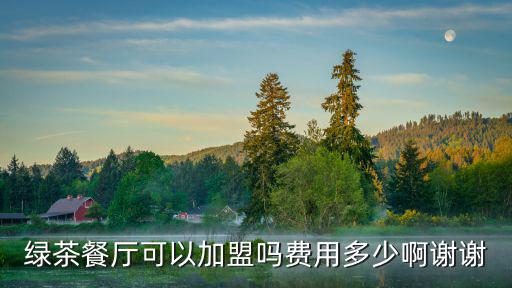 綠茶餐廳，綠茶餐廳可以加盟嗎費用多少啊謝謝