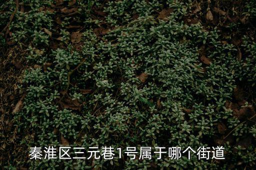 秦淮區三元巷1號屬于哪個街道
