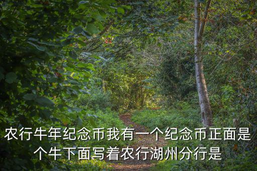 牛年紀念幣，牛年紀念幣多少錢