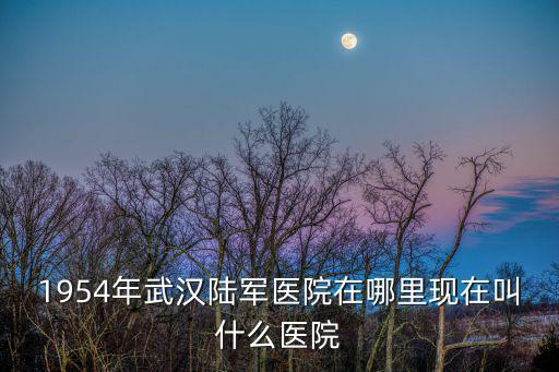 武漢陸軍總醫院，1954年武漢陸軍醫院在哪里現在叫什么醫院