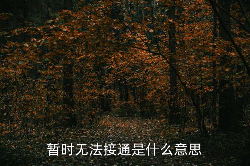 暫時無法接通是什么意思