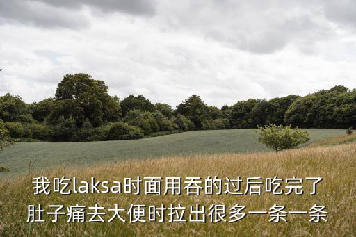 我吃laksa時面用吞的過后吃完了肚子痛去大便時拉出很多一條一條