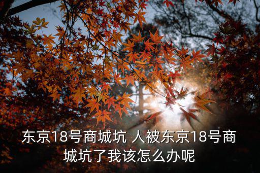 東京十八商城，請問在東京18商城里可以用網銀支付嗎