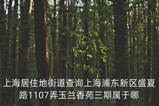 上海居住地街道查詢上海浦東新區盛夏路1107弄玉蘭香苑三期屬于哪