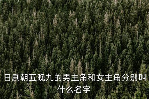 日劇朝五晚九的男主角和女主角分別叫什么名字