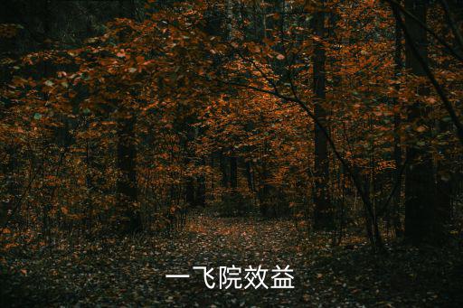 一飛院效益