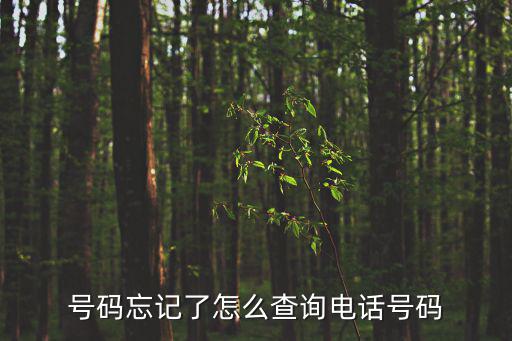 號碼忘記了怎么查詢電話號碼