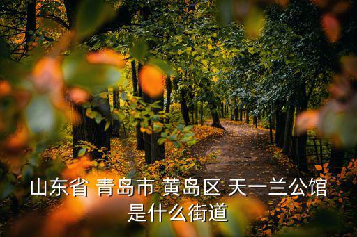 山東省 青島市 黃島區 天一蘭公館是什么街道