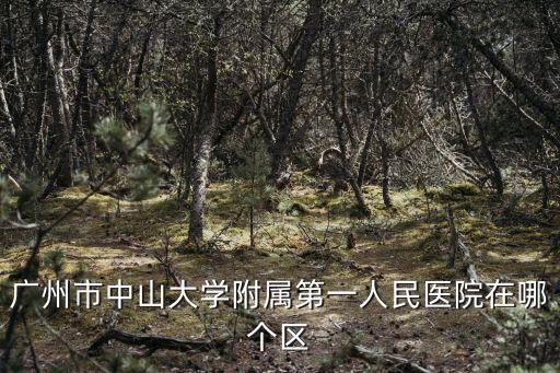 中山大學(xué)附屬第八醫(yī)院，廣州中山大學(xué)附屬第一醫(yī)院是私立的還是公立的