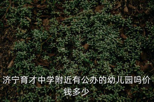 濟寧育才中學附近有公辦的幼兒園嗎價錢多少
