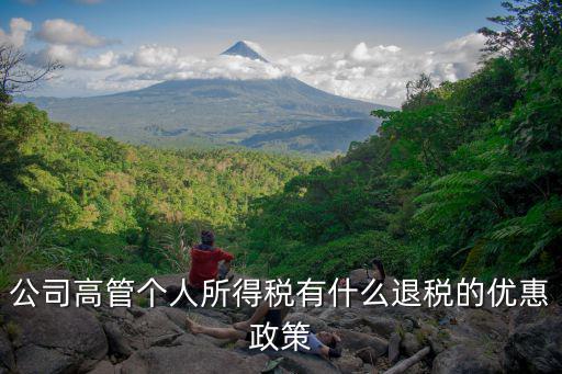 個(gè)人所得稅怎么退稅，個(gè)人所得稅什么樣的人可以退稅