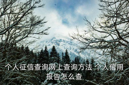 個人征信查詢網上查詢方法 個人信用報告怎么查