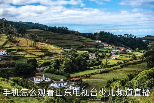 山東電視臺直播在線觀看，怎樣收看山東電視臺直播