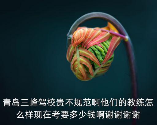 青島三峰駕校貴不規(guī)范啊他們的教練怎么樣現(xiàn)在考要多少錢啊謝謝謝謝