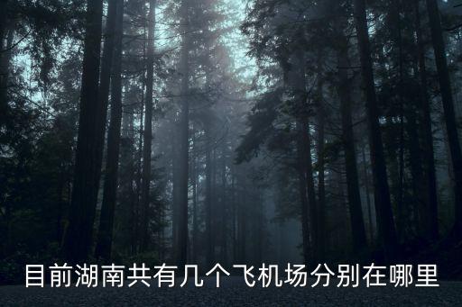 目前湖南共有幾個飛機場分別在哪里