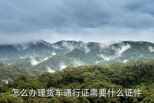 怎么辦理貨車通行證需要什么證件